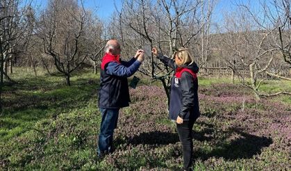 Kastamonu’nun başına bela olmuştu: Sahadaki mücadele sürüyor