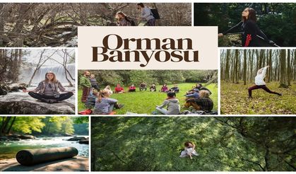 Kastamonu’da, doğanın iyileştirici gücü turizmle buluşuyor!