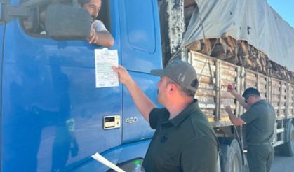 Kastamonu'da orman denetimleri sıkılaştı: Devrekani yolunda kamyonlar tek tek kontrol edildi