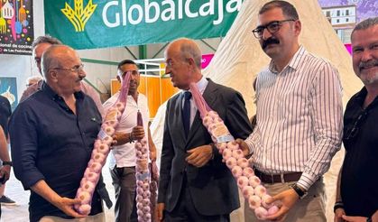 Taşköprü heyeti İspanya'da: Sarımsak fuarında önemli temaslar