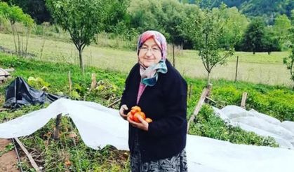 Kastamonu’da Şükran Karamahmutoğlu vefat etti