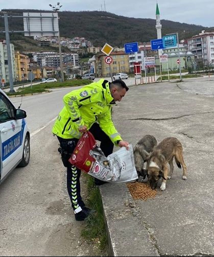Kastamonu'da polisler, can dostlarımızı besledi