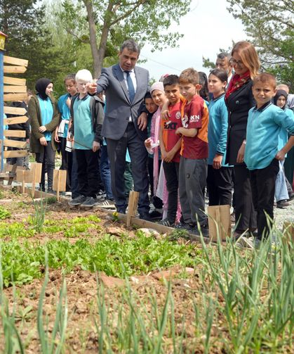 Kastamonu'da atıl arazi seraya dönüştürüldü: Öğrenciler tarımsal üretime başladı!