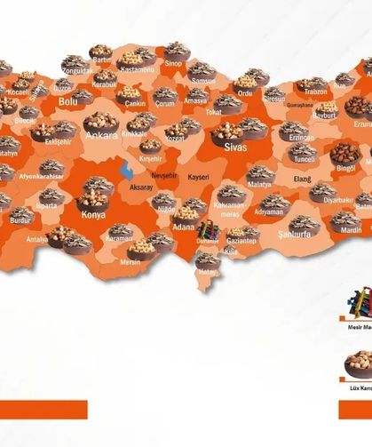Çitlekçi'nin kuruyemiş haritası açıklandı: Kastamonu'da en çok ne tüketiliyor?