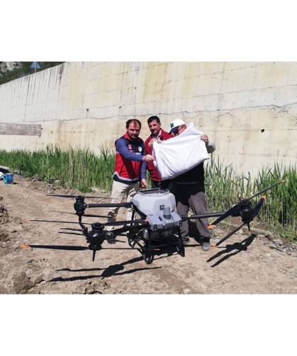 Kastamonu'nun bu ilçesinde dron ile çeltik ekimi yapıldı!