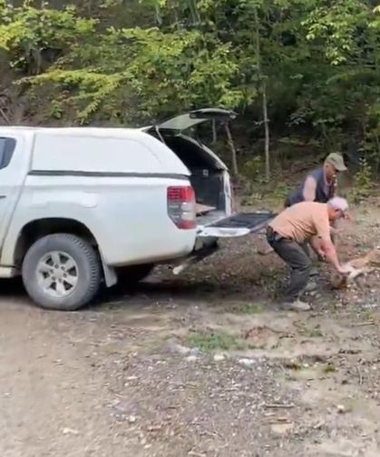 Kastamonu’da yaralı halde bulunan sevimli karaca, yeniden ait olduğu yerde (görüntülü haber)