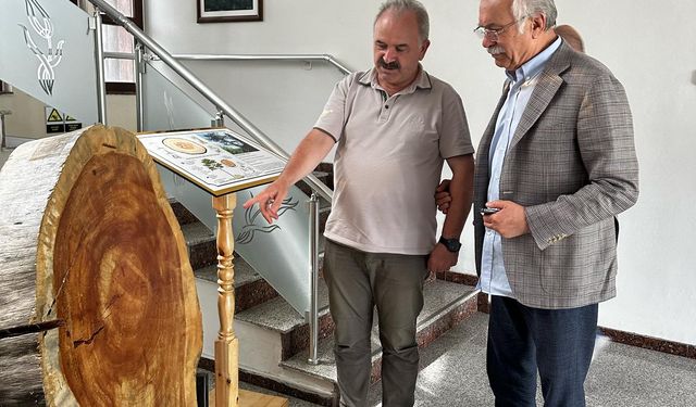 Önceki dönem Milletvekili Altan'dan Orman Bölgeye ziyaret