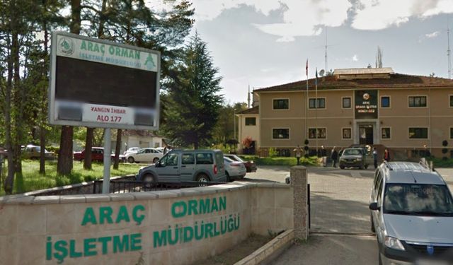 ARAÇ ORMAN İŞLETME MD DÖNER SERMAYE İŞLETMESİ