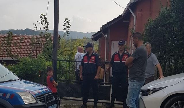Ağaçtan düşen kişi hayatını kaybetti..