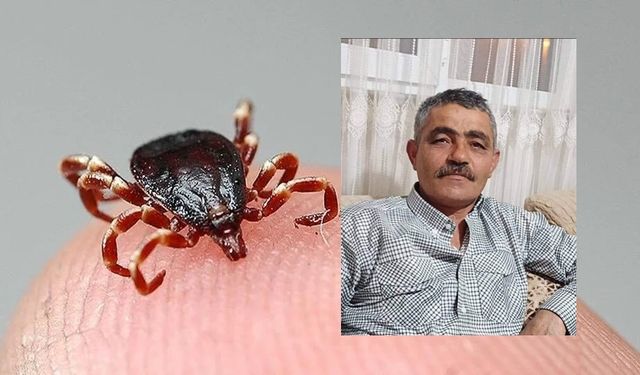 15 gün mücadele etti, keneye yenik düştü