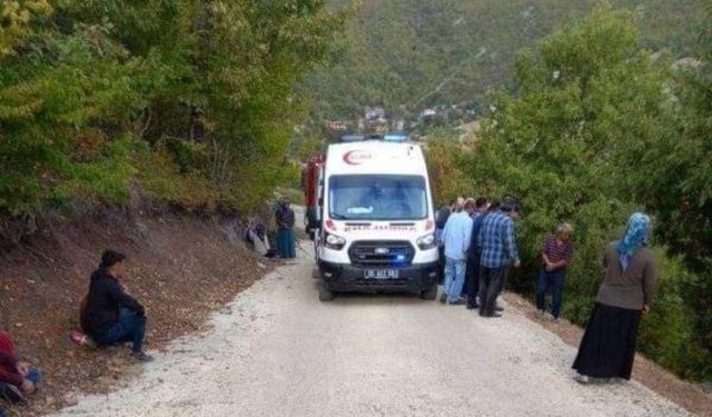 Traktör devrildi: 2 ölü