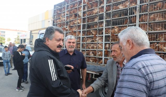 Cihanbeyli Belediyesi ilçedeki 800 aileye kümes hayvanı dağıttı
