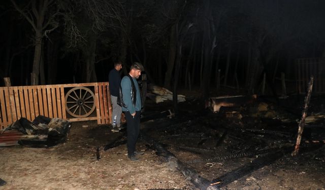 Kastamonu'daki ahır yangınında lama, midilli ve tavus kuşu öldü