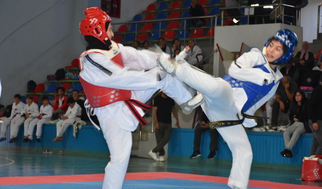 Kastamonu'nun ilçesinde 100. yıla özel turnuva düzenlendi!