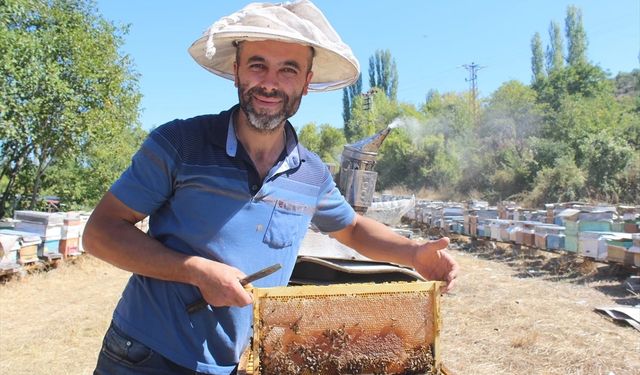 7 bin arı kolonisi bulunan ilçemizde 55 ton bal hasadı yapıldı