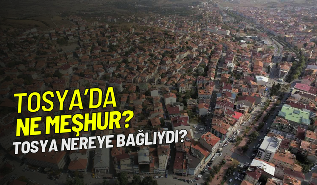 Tosya neyi ile meşhur?-Tosya nereye bağlıydı? Merak edilenler..