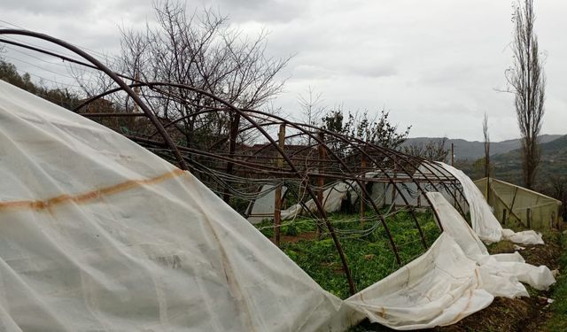 Fırtına seralara da zarar verdi: Üretici mağdur