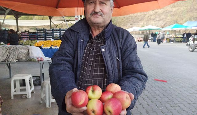 Kastamonu'da 1350 ton elma rekoltesi elde edildi