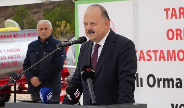 Vali Dallı'dan dikkat çeken istek: Kriterler değiştirilmezse sorunu çözemeyiz!
