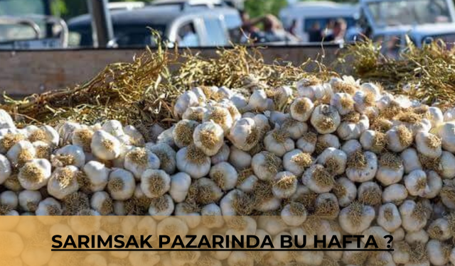 Sarımsak Pazarında Bu Hafta ?