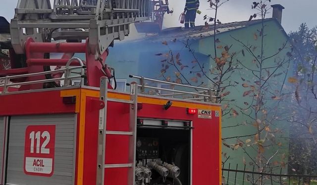 Gerze’de baca yangını itfaiye ekiplerince söndürüldü