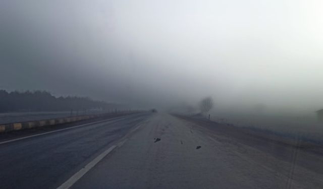 Sürücüler dikkat! Taşköprü-Kastamonu yolunda sis tehlikesi