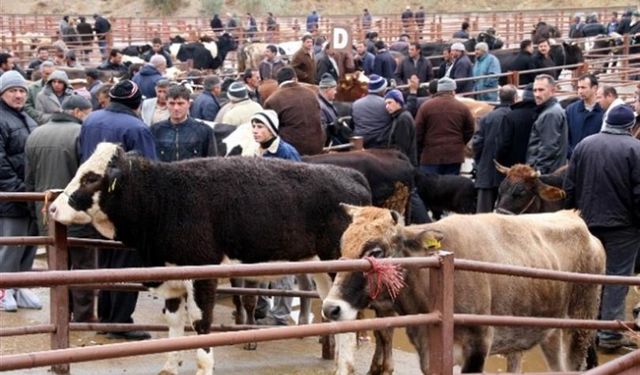 Şap hastalığı nedeniyle hayvan pazarı kapatıldı