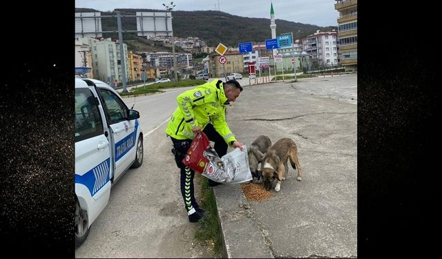 Kastamonu'da polisler, can dostlarımızı besledi