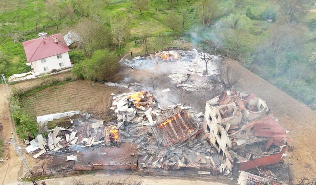 Kastamonu'daki yangında ağır bilanço: Çok sayıda yapı küle döndü, 4 hayvan telef oldu!