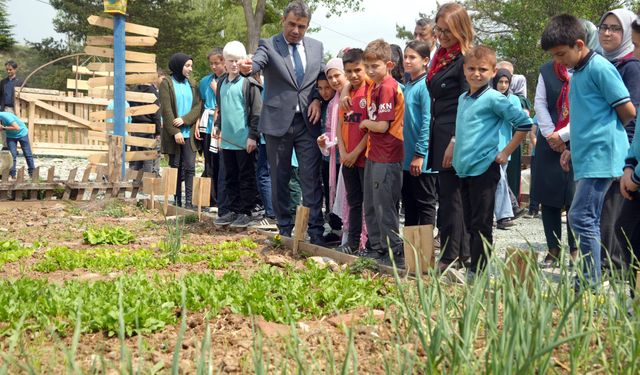 Kastamonu'da atıl arazi seraya dönüştürüldü: Öğrenciler tarımsal üretime başladı!