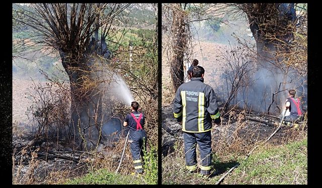 Anız ateşi yüzünden Taşköprü'de yangın çıktı