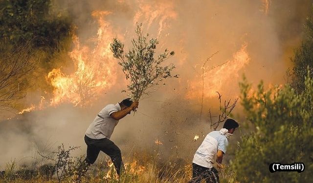 Taşköprü'nün Duruca Köyü'nde yangın