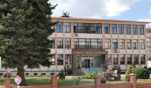 KASTAMONU ORMAN BÖLGE MÜDÜRLÜĞÜ KASTAMONU ORMAN FİDANLIK MÜDÜRLÜĞÜ