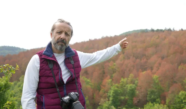 Kastamonu'da feci manzara: Ormanlar kahverengiye büründü!