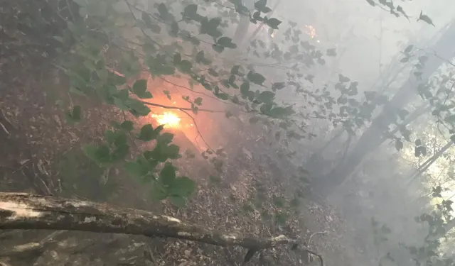 Kastamonu'da ormana yıldırım düştü: Yangın çıktı!