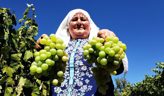 En son Kastamonu Üniversitesi bir çalışma başlatmıştı! Zonguldak, Karabük ve Bartın'dan 7 ürün listede! (2024 Haziran)