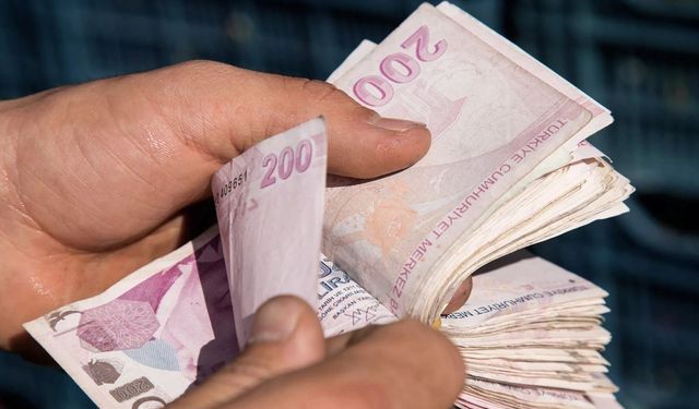 Türk lirasıyla dış ticarette dikkat çeken artış