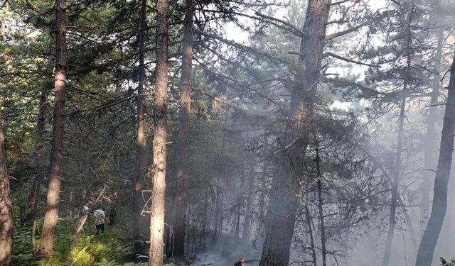 Mudurnu'da ormanlık alanda çıkan yangın söndürüldü