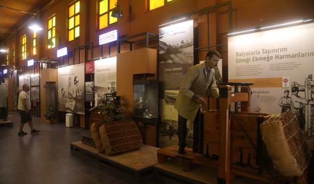 Tütünün üretim ve işlenme süreci Bafra'daki müzede anlatılıyor