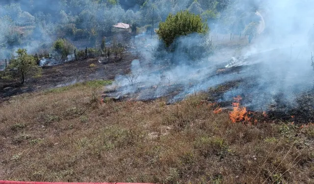 Kastamonu'da Mezarlıkta Çıkan Yangın Korkuttu!