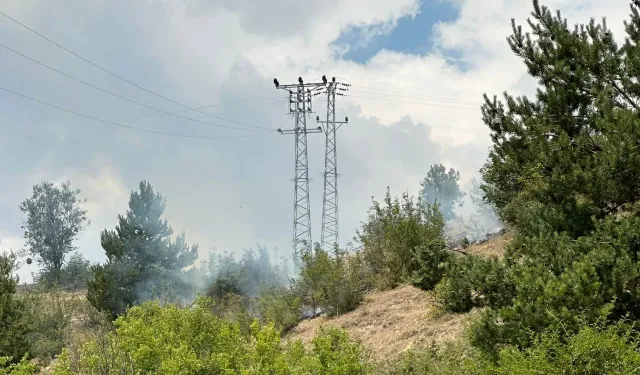 Kastamonu'da yıldırımlar ormanı yangınına dönüştü: Müdahale devam ediyor!