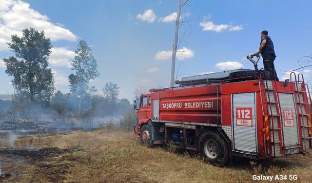 Taşköprü'de yine yangın çıktı: Uyarılar işe yaramıyor, tarlalardan ateş yükseliyor! (2024 Temmuz)
