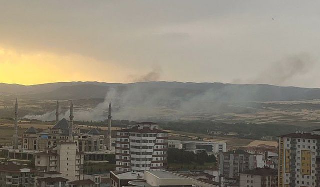 Daday Gölköy Mevkiinde Yangın Çıktı!