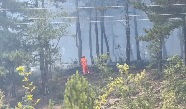 Hanönü ve Taşköprü sınırında orman yangını!