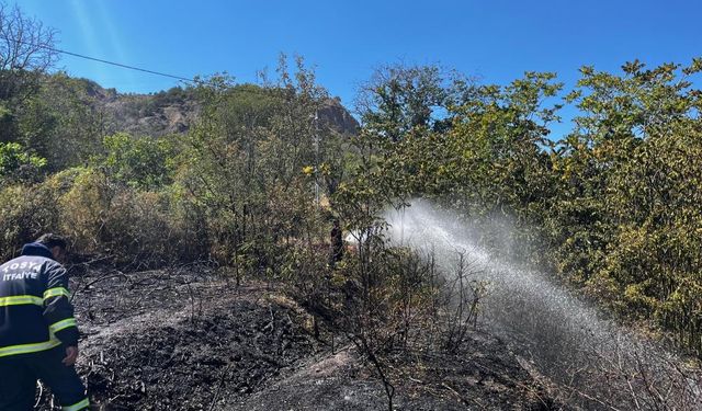 Kastamonu'da yangın: Alevler, hızla etrafa yayılarak büyüdü!