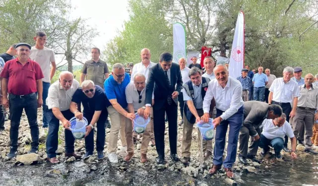 Kastamonu’da Binlerce Alabalık Devrekani Çayı'na Salındı