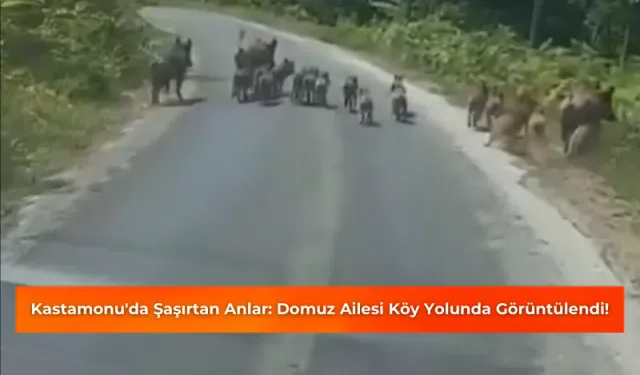 Kastamonu'da Şaşırtan Anlar! Köy Yolunda Görüntülendi!