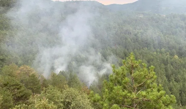 Kastamonu’nun yanı başına yıldırım düştü: Orman yangını çıktı!