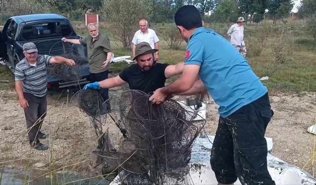 Kastamonu'da göletten çıkarıldı: Boyu tam 150 metre! Gören şaştı kaldı! (görüntülü haber)