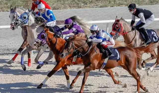 8 Kasım 2024 Şanlıurfa At Yarışı Sonuçları: 8 Kasım Şanlıurfa Altılı Ganyan At Yarışı Sonuçları